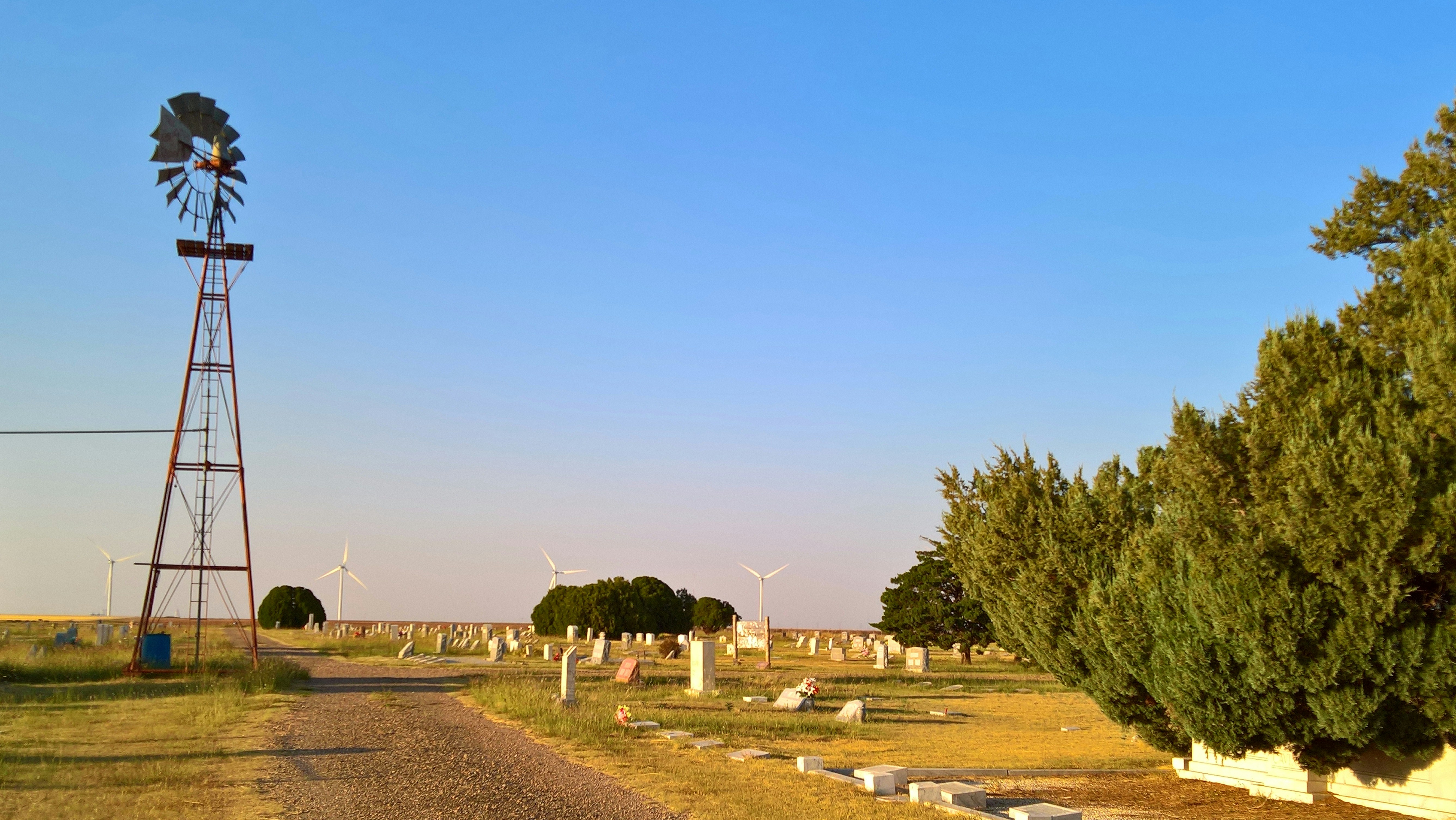 Grabsuche im Jahreslauf: Wann Friedhofsbesuche und Anfragen sinnvoll sind